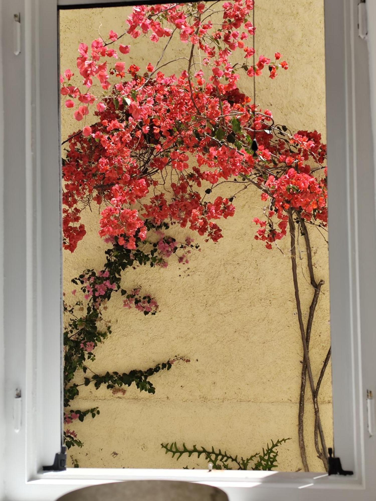 Casa Di Nafplio