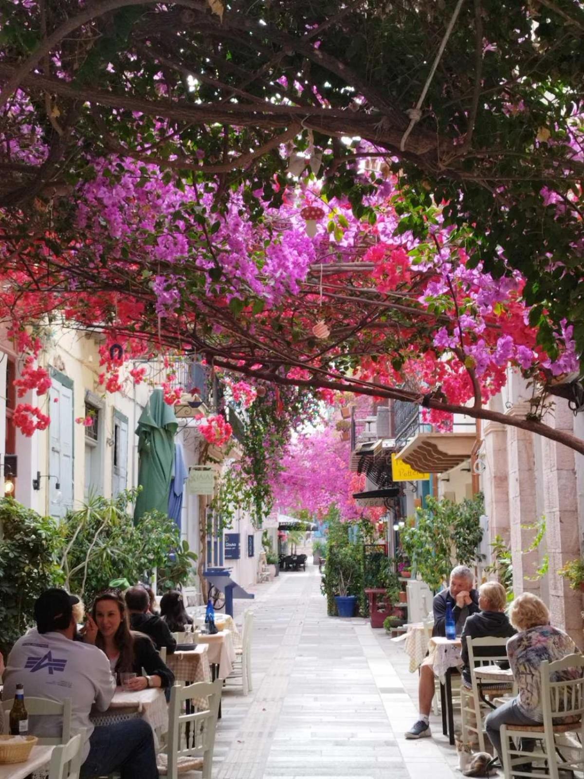 Casa Di